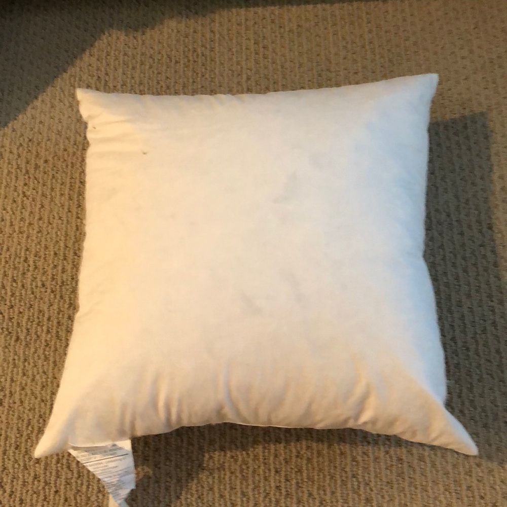Crate&Barrel pillow insert 18inx18in